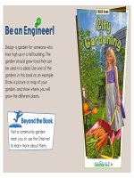 14 plants k 2 focus book citygardening