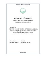 00060000971 chuyển Đổi số trong giáo dục Đại học kinh nghiệm quốc tế và cơ hội cho giáo dục Đại học việt nam