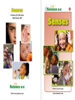 06 sensesk 2 nfbook mid