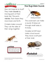 02 energyk 2 qr bugs sounds mid