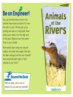 12 animals k 2 focus book animals of the rivers