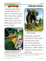 18 plantsk 2 careers