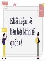 Khái niệm về liên kết kinh tế quốc tế