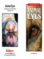 16 animal eyes   level g