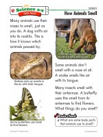 04 sensesk 2 qr how animals smell   mid