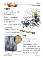 Animals   life science   razkid science