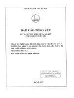 00060000452 Nghiên Cứu Đặc Tính Hấp Phụ Và Vận Chuyển Một Số Ion Kim Loại Nặng Và Ion Amoni Trên Nhôm Ôxit, Silic Ôxit Và Đá Ong Có Kích Thước Micro-Nano.pdf