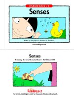 19 senses   level d