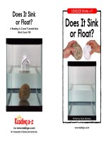 15 does it sink or float   level f