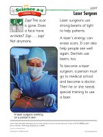 12 lightk 2 careers