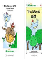 17 animalsk 2 iwannabird mid