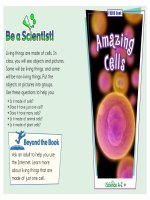 09 livingnonliving k 2 focus book amazing cells