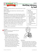 08 sensesk 2 proc activ id by smell