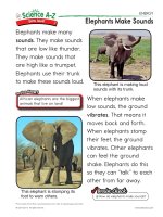04 energyk 2 qr elephant sounds mid