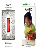 03 magnets k 2 nfb mid