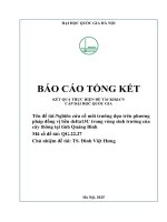 00060000986 nghiên cứu cổ môi trường dựa trên phương pháp Đồng vị bền delta13c trong vòng sinh trưởng của cây thông tại tỉnh quảng bình