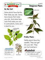 06 plants k 2 qr dangerousplants   mid