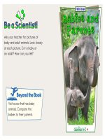 05 livingnonliving k 2 focus book babies and parents