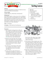 11 plantsk 2 proc activ sorting leaves