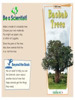 06 livingnonliving k 2 focus book baobab trees