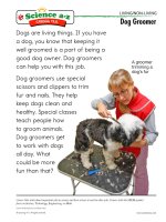 11 livingnonlivingk 2 careers