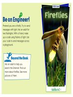 06 light k 2 focus book fireflies
