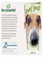 12 senses k 2 focus book dogs smell