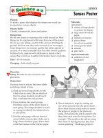 10 sensesk 2 proc activ senses poster