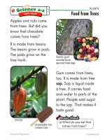 04 plantsk 2 qr food fr trees   mid