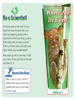 13 senses k 2 focus book whereareitseyes