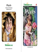 07 plantsk 2 nfbook mid