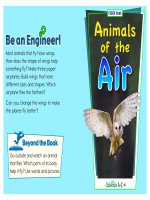 08 animals k 2 focus book animals in the air