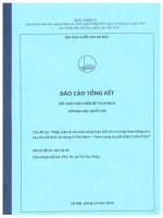 00060000316 Pháp luật về các biện pháp hạn chế rủi ro trong hoạt động cho vay của tổ chức tín dụng ở Việt Nam - Thực trạng và giải pháp hoàn thiện Đề tài NCKH. QG.14.54