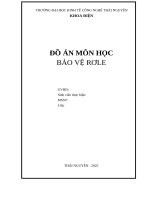 Đồ Án môn học bảo vệ rơ le