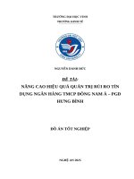 Nâng cao hiệu quả quản trị rủi ro tín dụng ngân hàng tmcp Đông nam Á – pgd hưng bình