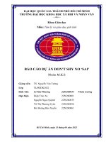Báo cáo dự Án don’t shy no ‘sai’