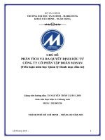 Phân tích và ra quyết Định Đầu tư công ty cổ phần tập Đoàn masan (tiểu luận môn học quản lý danh mục Đầu tư)