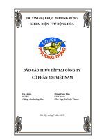 Báo cáo thực tập tại công ty cổ phần 2de việt nam