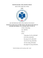 Đề tài tổng quan về hiện trạng thu hoạch, bảo quản và chế biến Đậu phộng, các loại Đậu khác Ở nước ta
