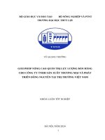 Giải pháp nâng cao quản trị lực lượng bán hàng cho công ty tnhh sản xuất thương mại và phát triển Đăng nguyên tại thị trường việt nam