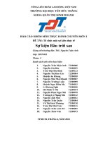 Báo cáo nhóm môn thực hành chuyên môn 1 Đề tài tổ chức một sự kiện thực tế sự kiện bầu trời sao