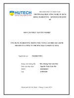 Báo cáo thực tập tốt nghiệp Ứng dụng marketing trong việc nâng cao hiệu quả kinh doanh của công ty thương mại và dịch vụ nina