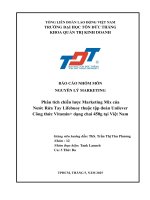 Phân tích chiến lược marketing mix của nước rửa tay lifebuoy thuộc tập Đoàn unilever công thức vitamin+ dạng chai 450g tại việt nam