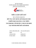 Đề tài xây dựng kế hoạch cho chiến dịch quảng cáo trên facebook với rượu cam ecofarm tại thành phố hồ chí minh