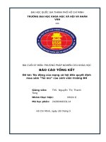 Đề tài tác Động của mạng xã hội Đến quyết Định mua sắm “túi mù” của sinh viên trường Đh