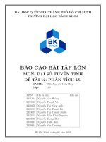 Báo cáo bài tập lớn môn Đại số tuyến tính Đề tài 12 phân tích lu