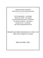 Báo cáo thực tập tìm hiểu hoạt Động kinh doanh của công ty cổ phần công nghiệp tây nam Đô