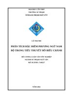 Phân tích Đặc Điểm phương ngữ nam bộ trong tiểu thuyết hồ biểu chánh