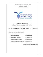 Bài tập lớn các bài toán về chia hết