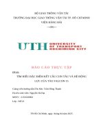 Báo cáo thực tập Đề tài tìm hiểu Đặc Điểm kết cấu con tàu và hệ Động lực của tàu falcon 15